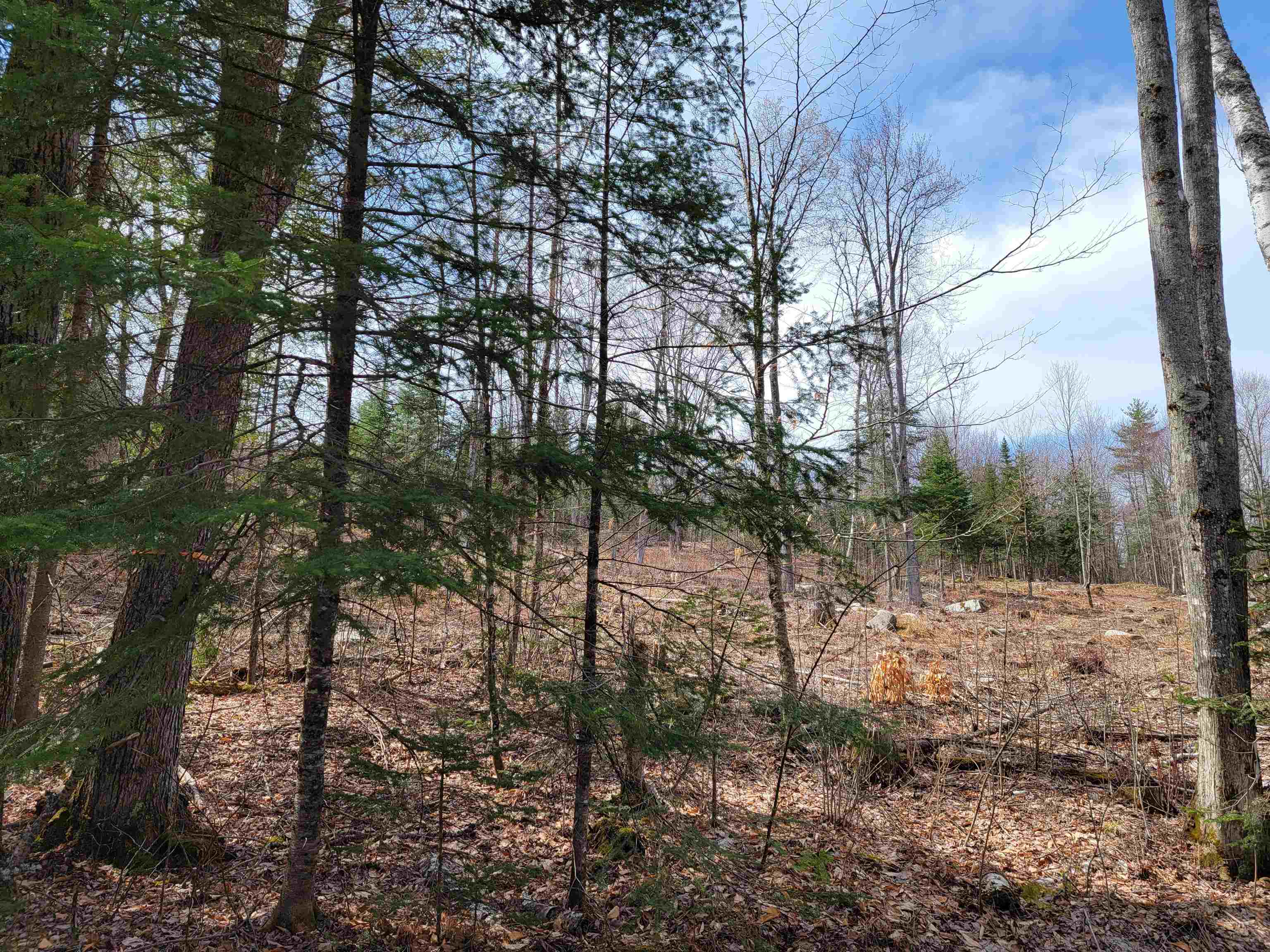 Lot 8.1-2 Cyr Road Bethlehem, NH 03574 - Photo 29 of 33