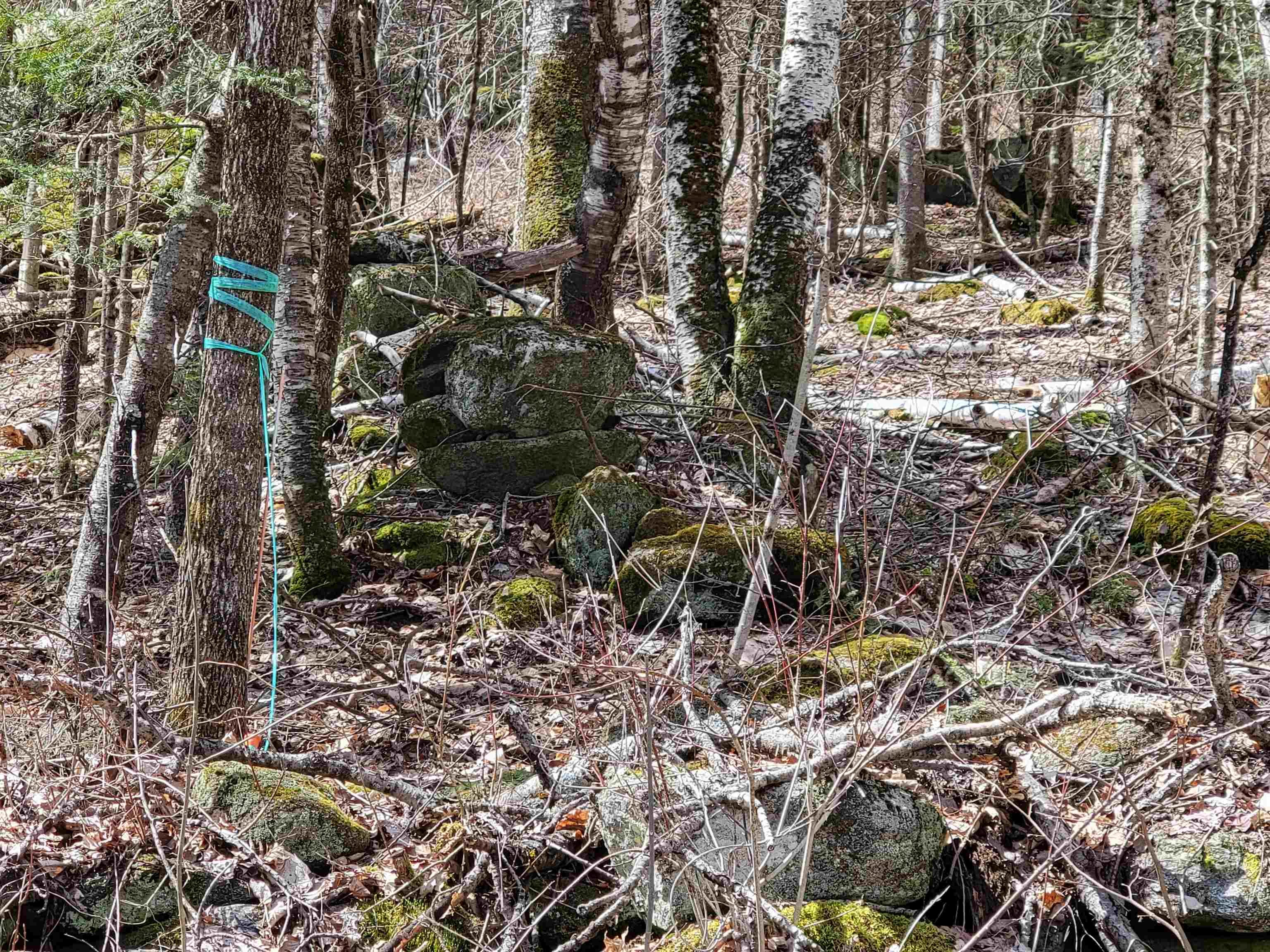 Lot 8.1-2 Cyr Road Bethlehem, NH 03574 - Photo 30 of 33
