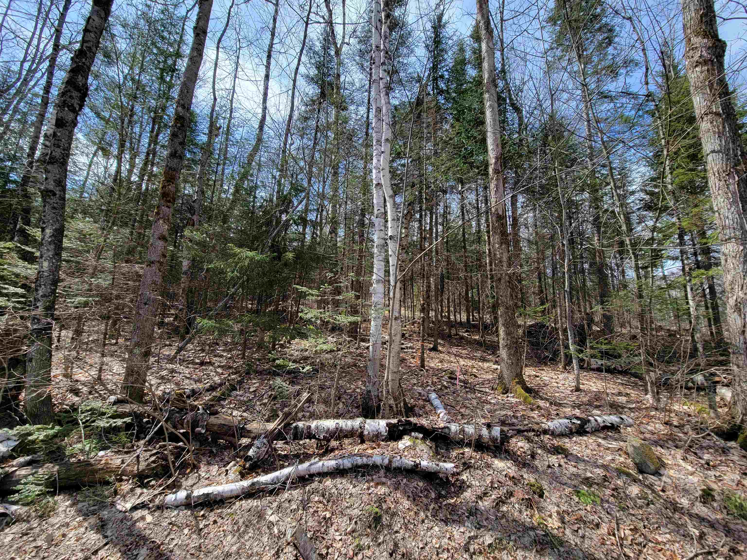 Lot 8.1-2 Cyr Road Bethlehem, NH 03574 - Photo 32 of 33