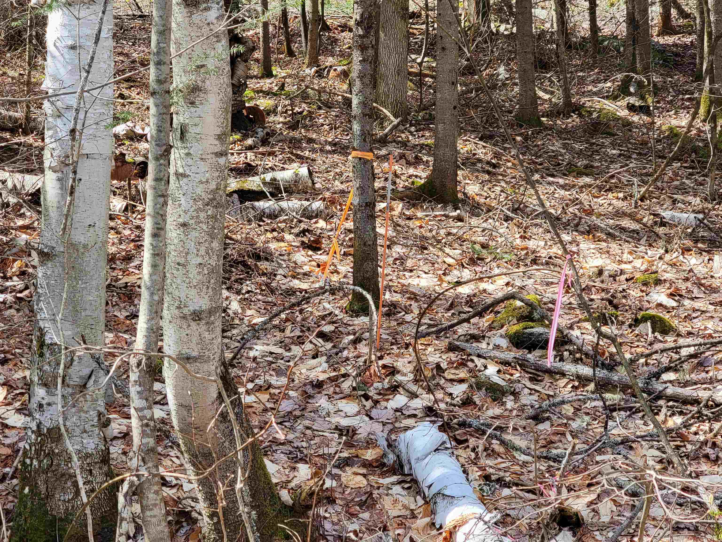 Lot 8.1-2 Cyr Road Bethlehem, NH 03574 - Photo 33 of 33