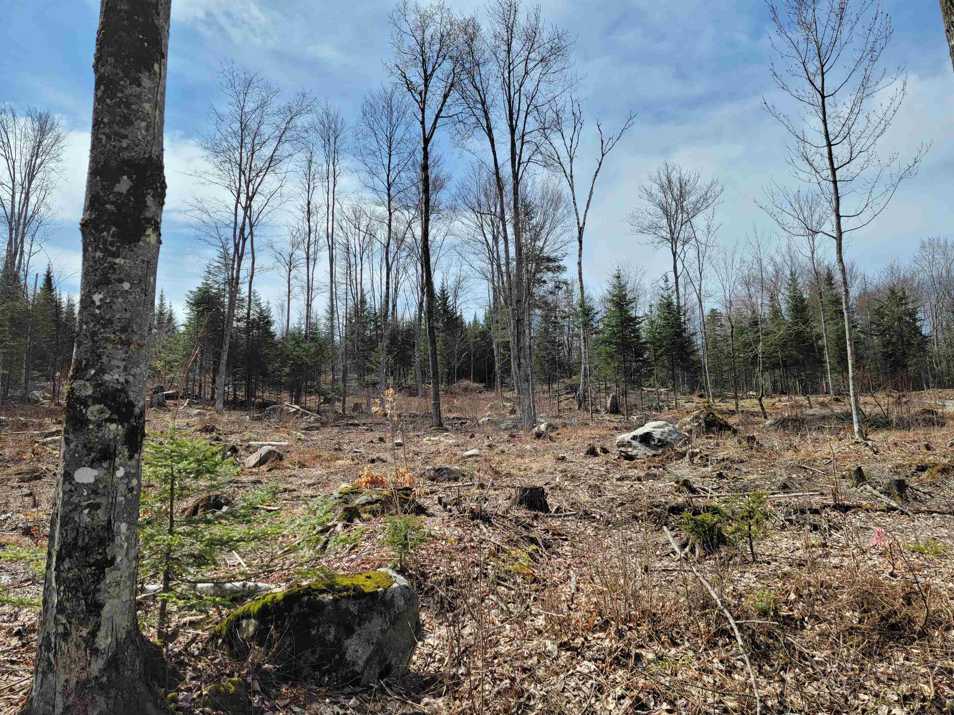 Lot 8.1-2 Cyr Road Bethlehem, NH 03574 - Photo 4 of 33