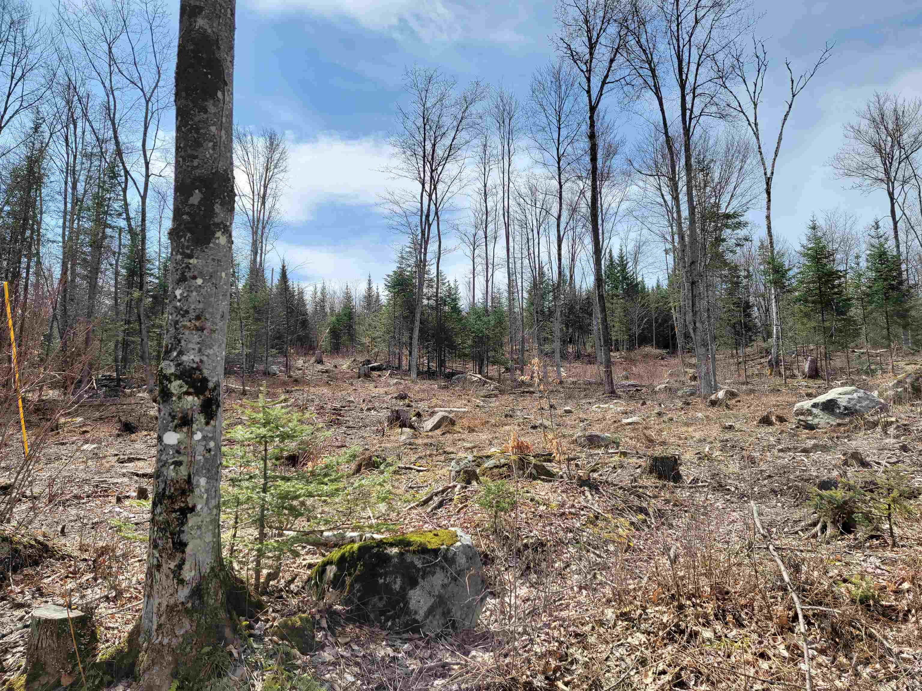 Lot 8.1-2 Cyr Road Bethlehem, NH 03574 - Photo 5 of 33