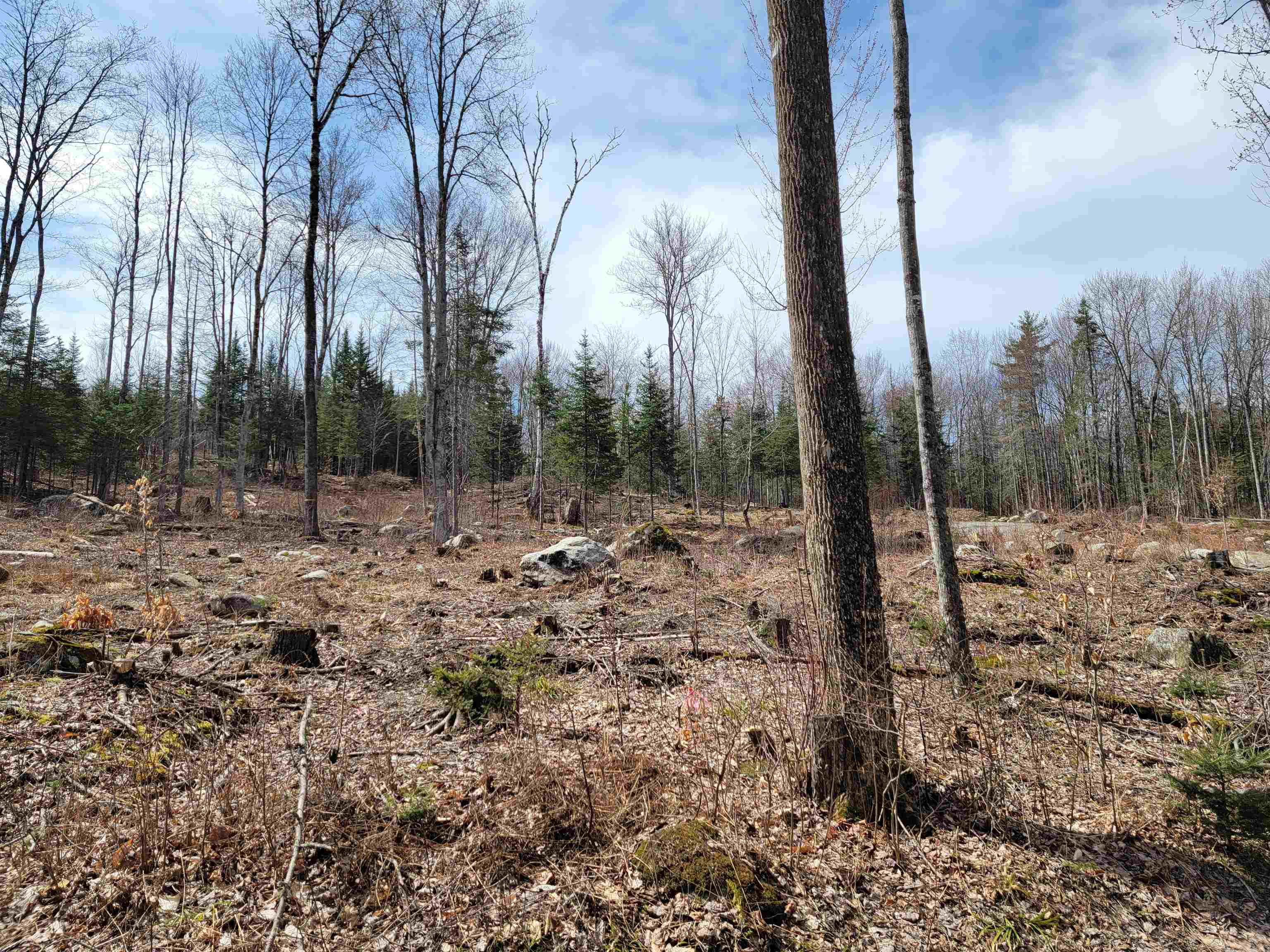 Lot 8.1-2 Cyr Road Bethlehem, NH 03574 - Photo 6 of 33