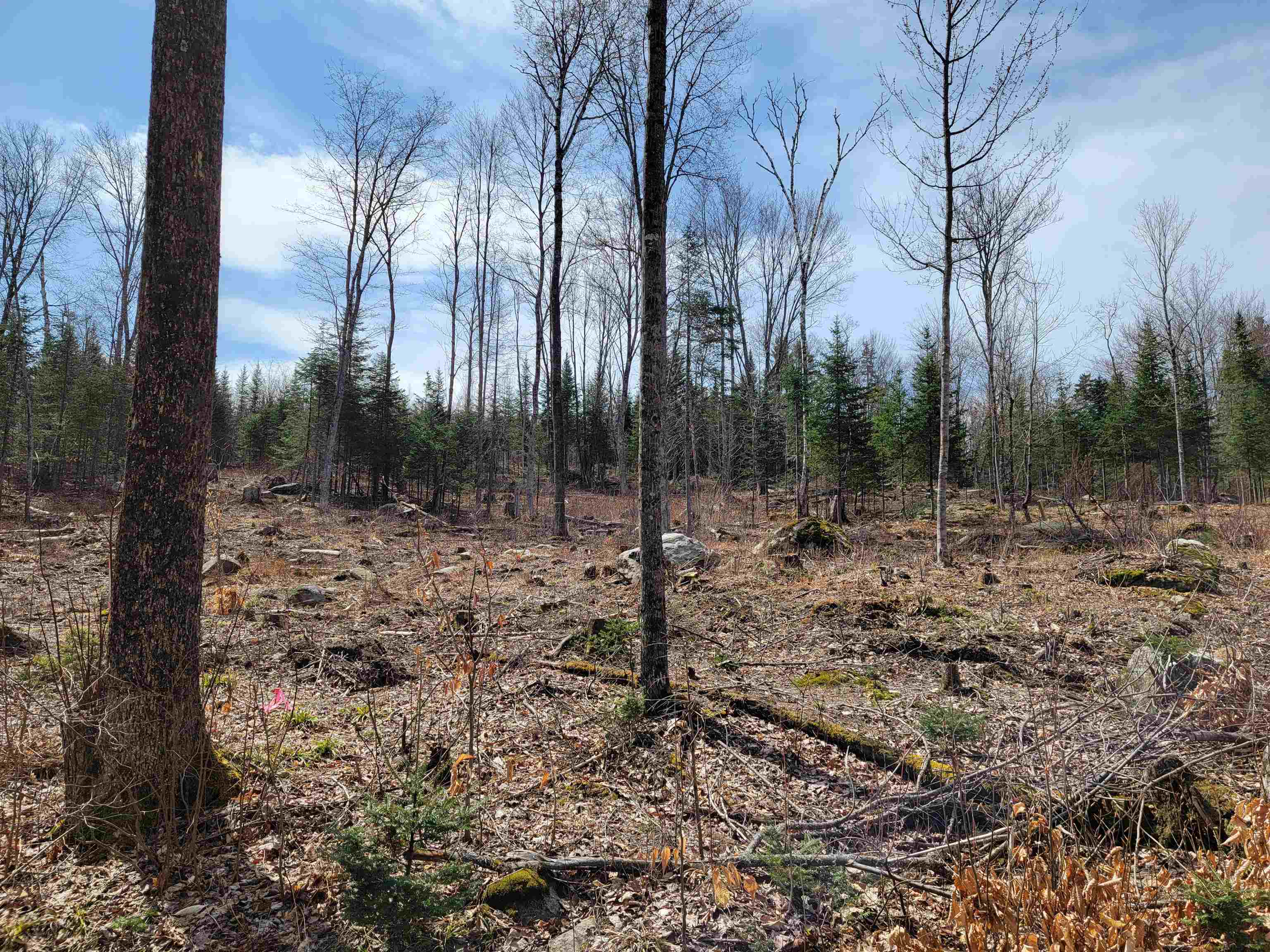 Lot 8.1-2 Cyr Road Bethlehem, NH 03574 - Photo 7 of 33