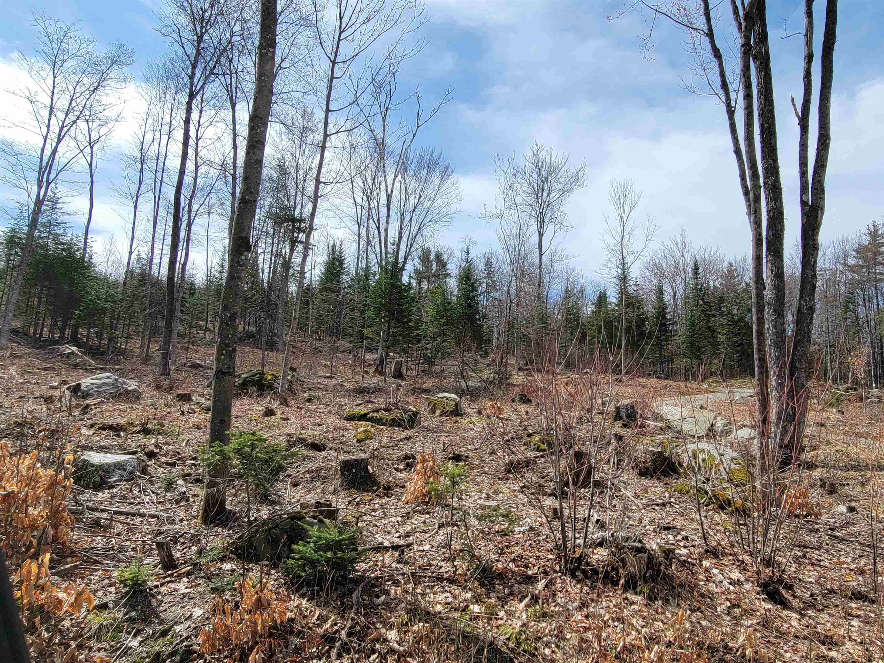 Lot 8.1-2 Cyr Road Bethlehem, NH 03574 - Photo 8 of 33