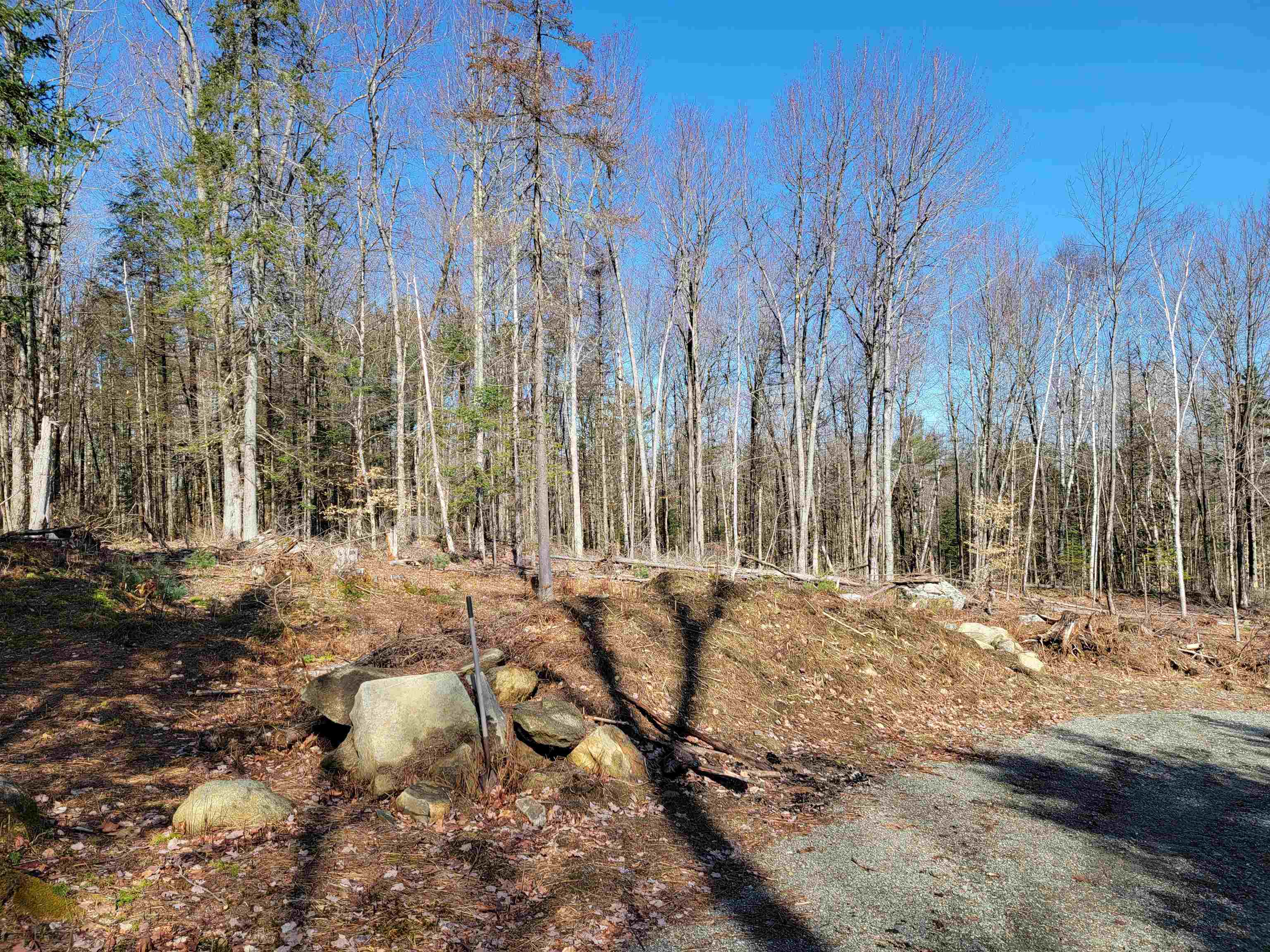 Lot 8.1-2 Cyr Road Bethlehem, NH 03574 - Photo 9 of 33