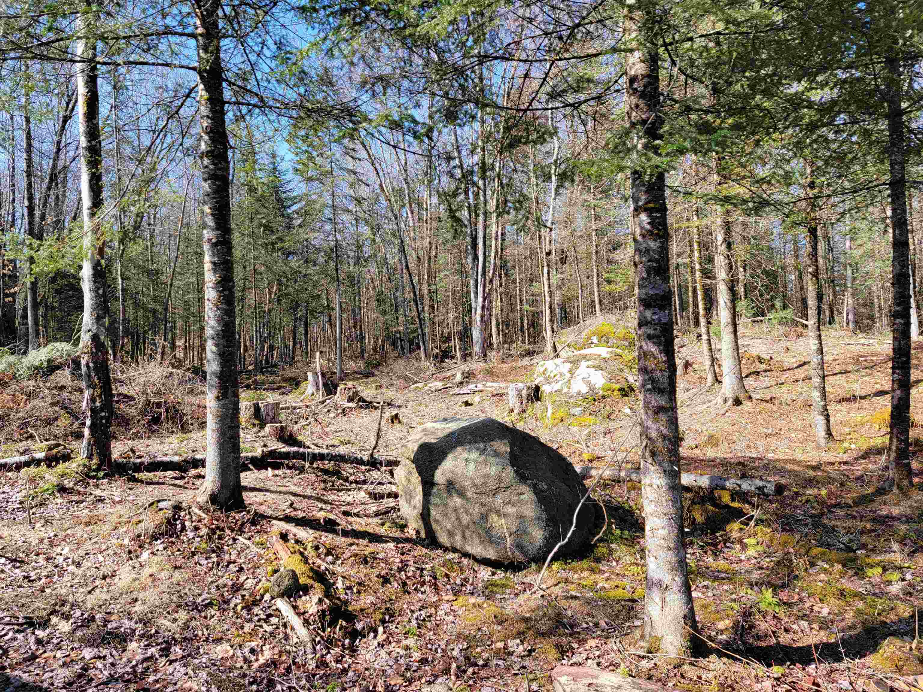 Lot 8.1-2 Cyr Road Bethlehem, NH 03574 - Photo 10 of 33