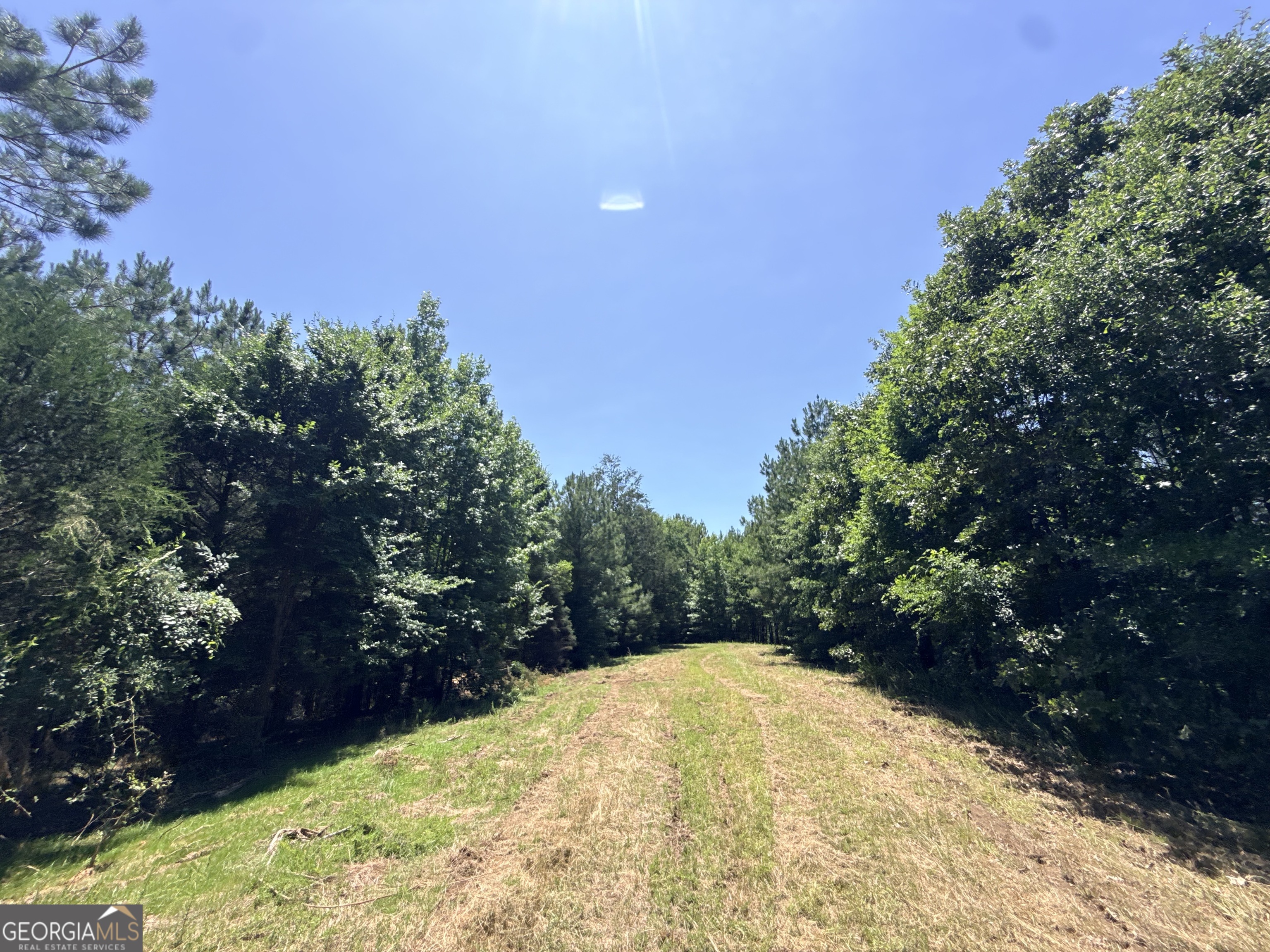 2807 Cedar Creek Road Elberton, GA 30635 - Photo 59 of 109