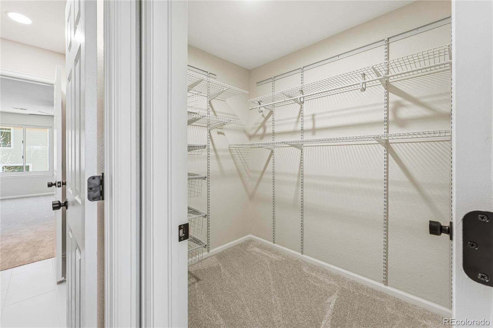 7755 Solstice Way Castle Rock, CO 80108 - Photo 19 of 50
