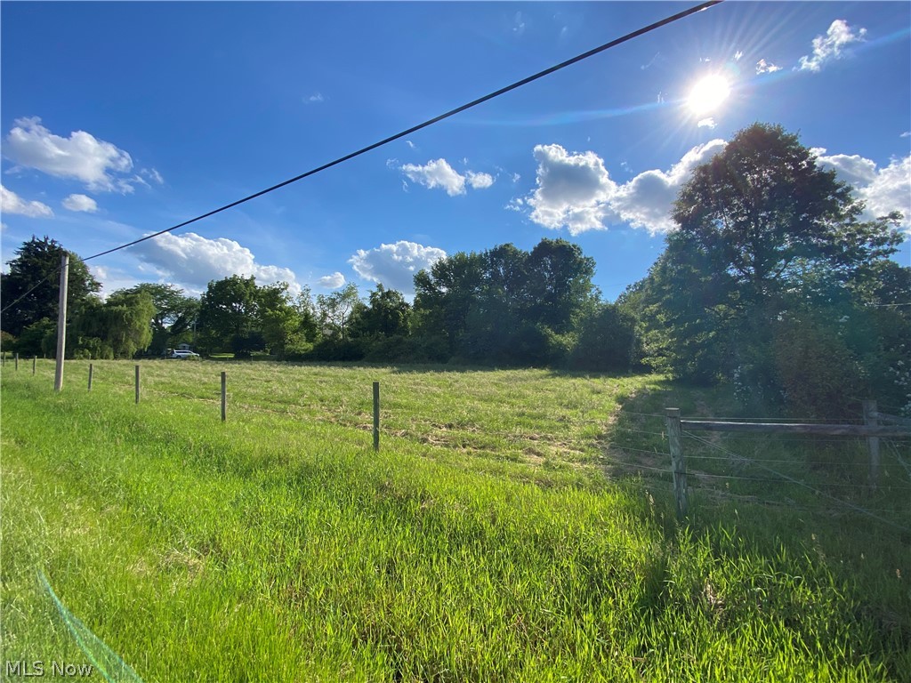 8924 South Raccoon Road Canfield, OH 44406 - Photo 28 of 34 fenced pasture