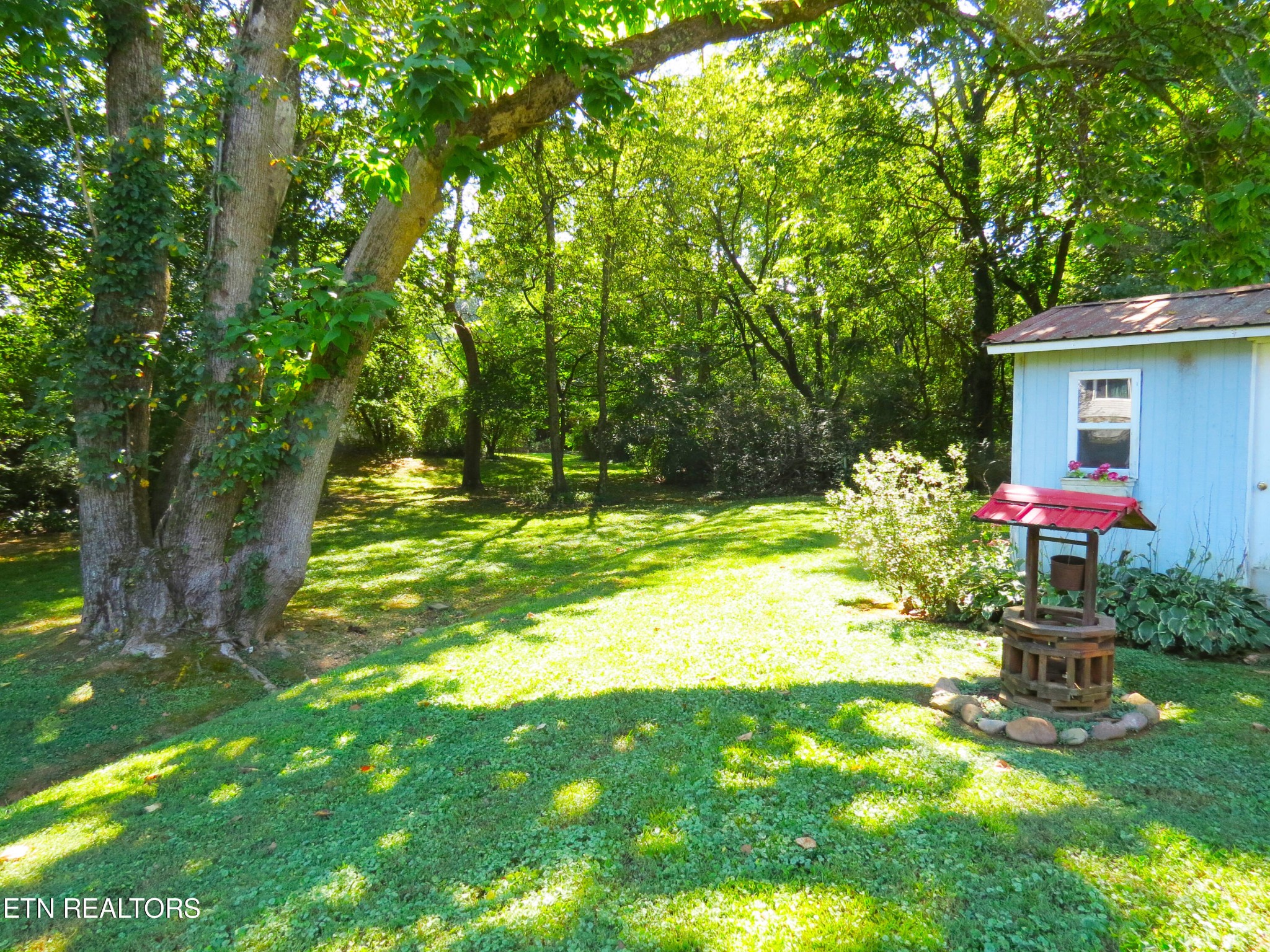 5409 Rowan Road Knoxville, TN 37912 - Photo 15 of 47 Gallery Image 15