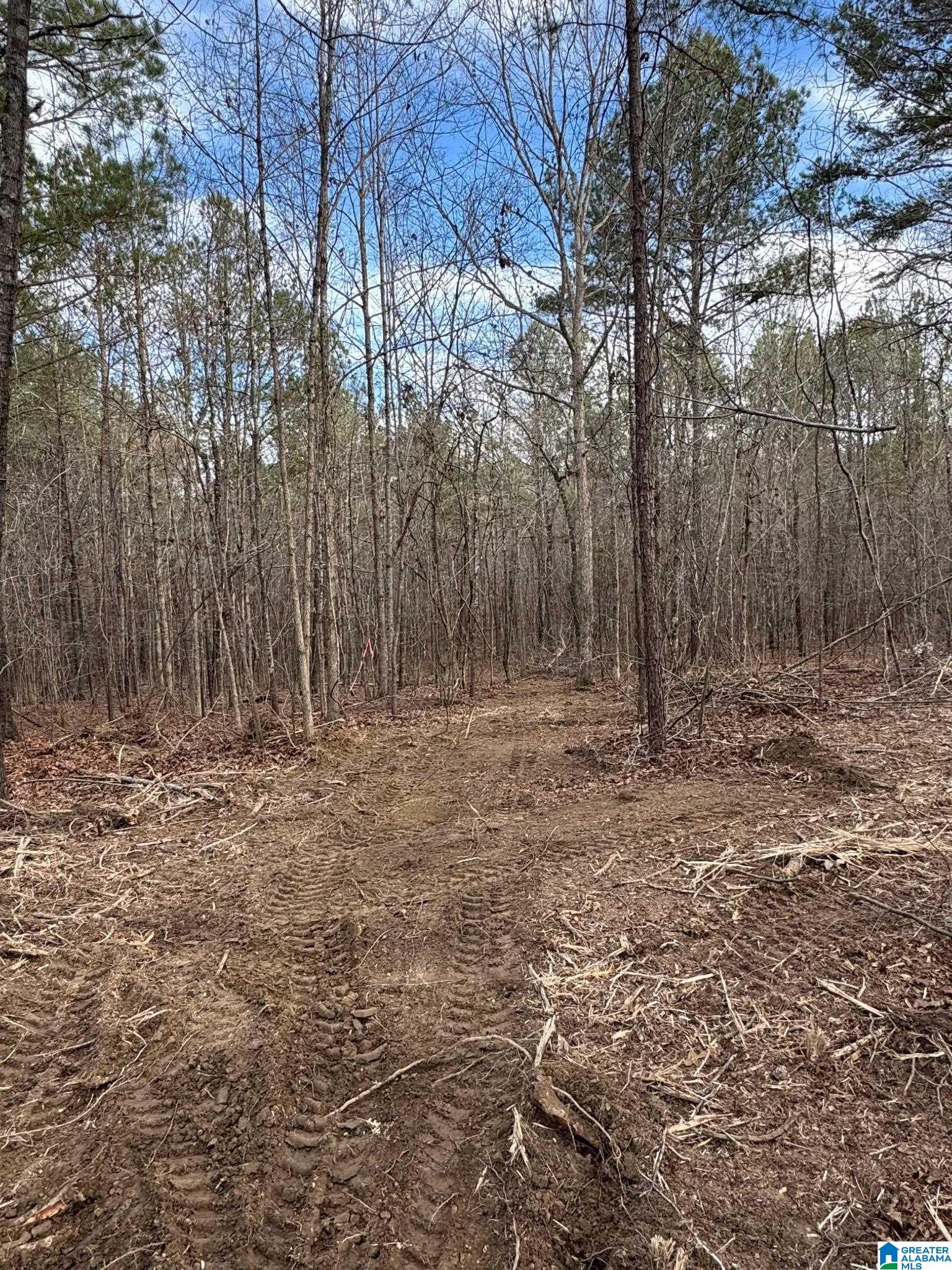 0 Francis Mill Road Ohatchee, AL 36271 - Photo 22 of 31 Gallery Image 22