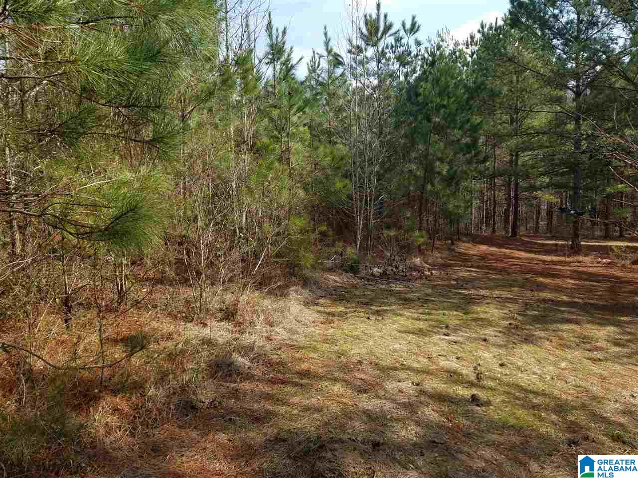 123 Kathy Lane Remlap, AL 35133 - Photo 6 of 25