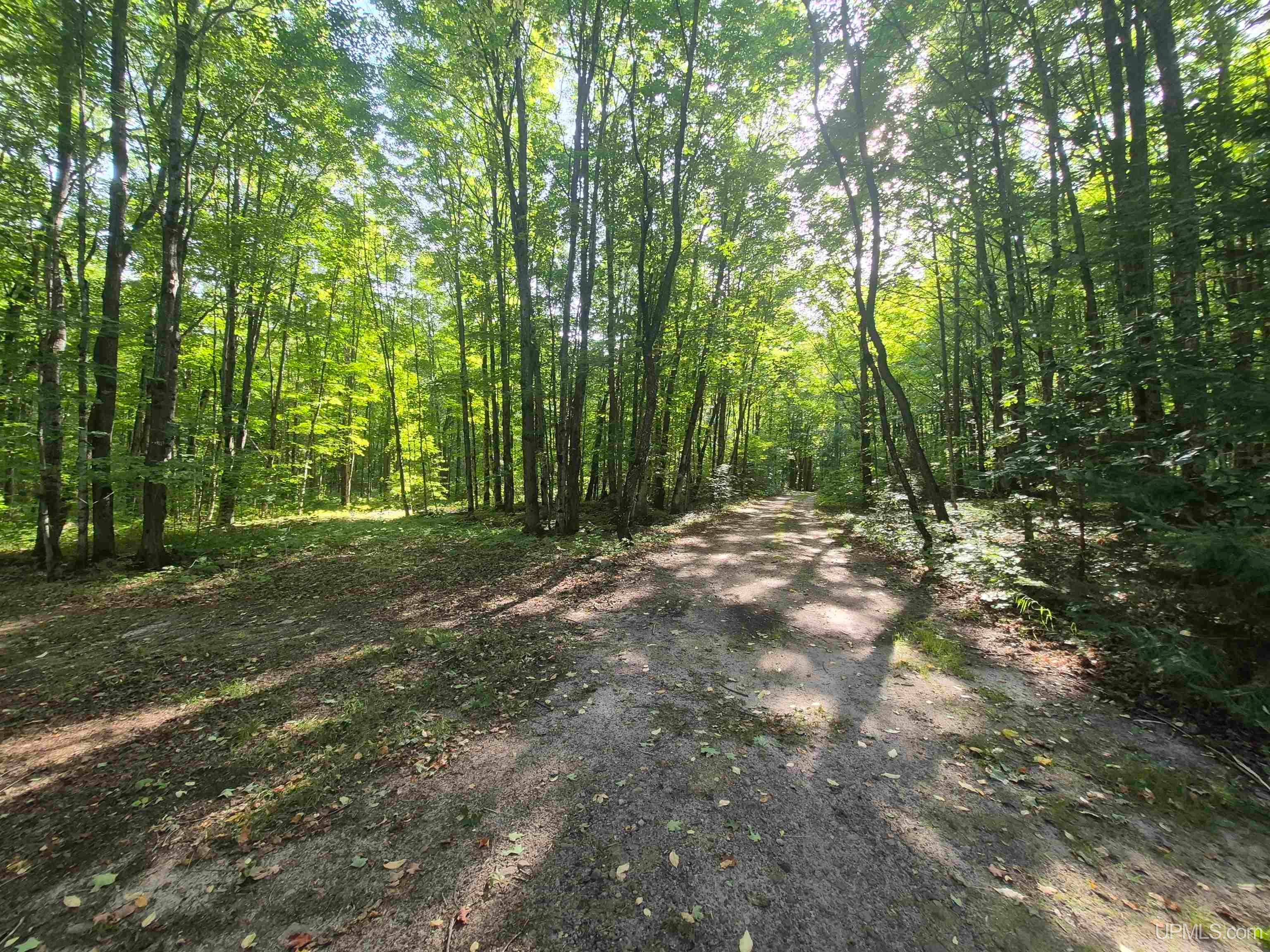 N8336 Sigan Road Deerton, MI 49822 - Photo 31 of 61 Gallery Image 31
