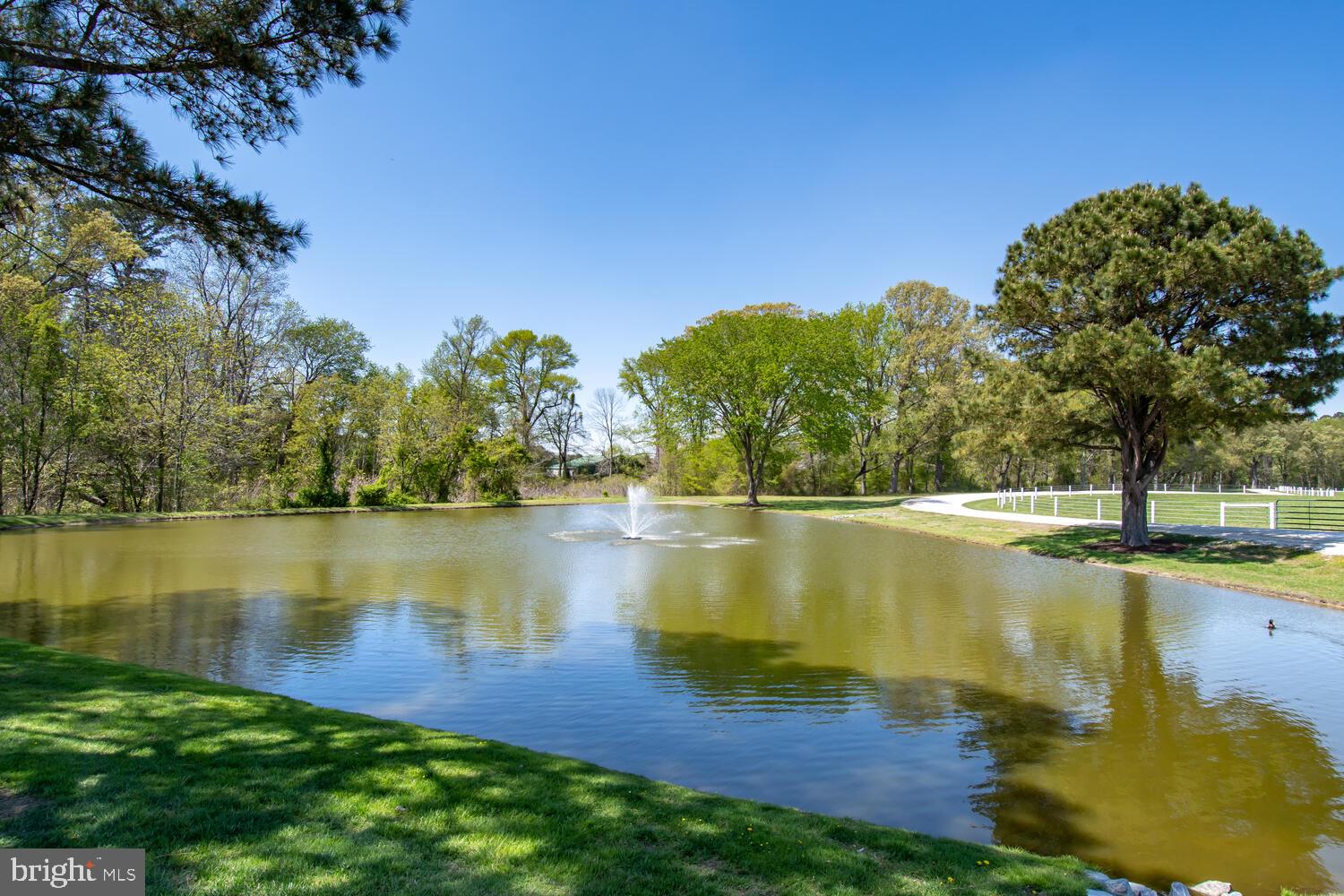 28589 Brick Row Drive Oxford, MD 21654 - Photo 119 of 129