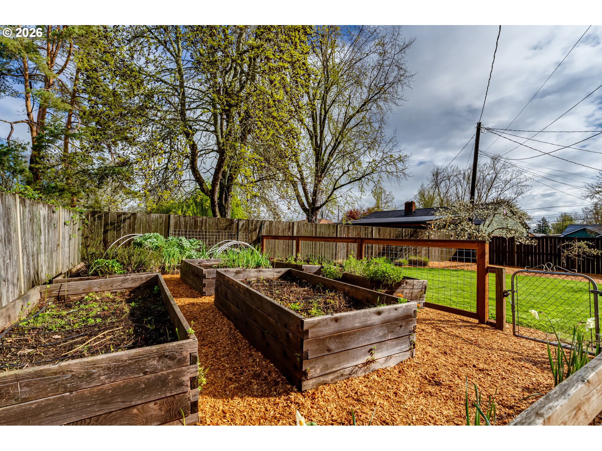 2125 West 19th Place Eugene, OR 97405 - Photo 10 of 29 a view of a bench in the garden