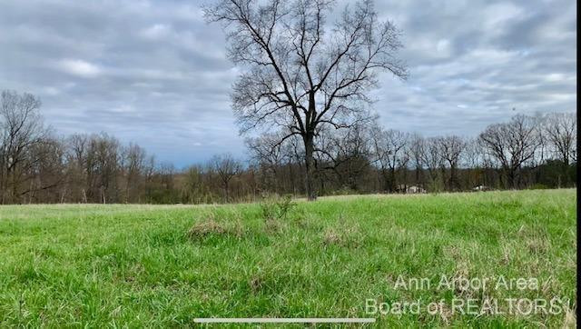 3 Bowens Road Manchester, MI 48158 - Photo 5 of 9 Photo 5