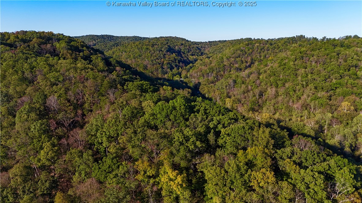 0 Harmons Creek Road Poca, WV 25159 - Photo 6 of 16 Gallery Image 6