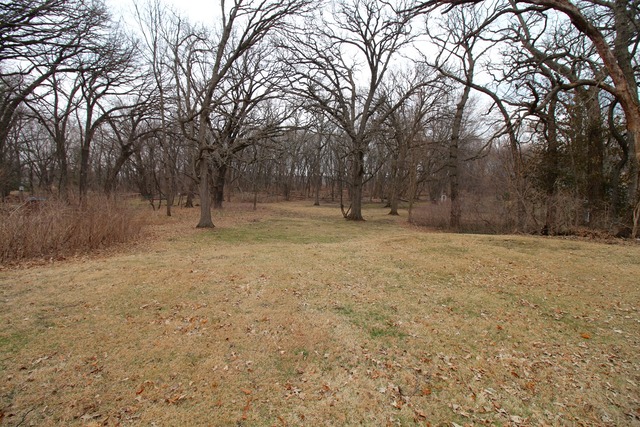 1460 Burr Oak Road Homewood, IL 60430 - Photo 19 of 19 a view of dirt yard with a tree