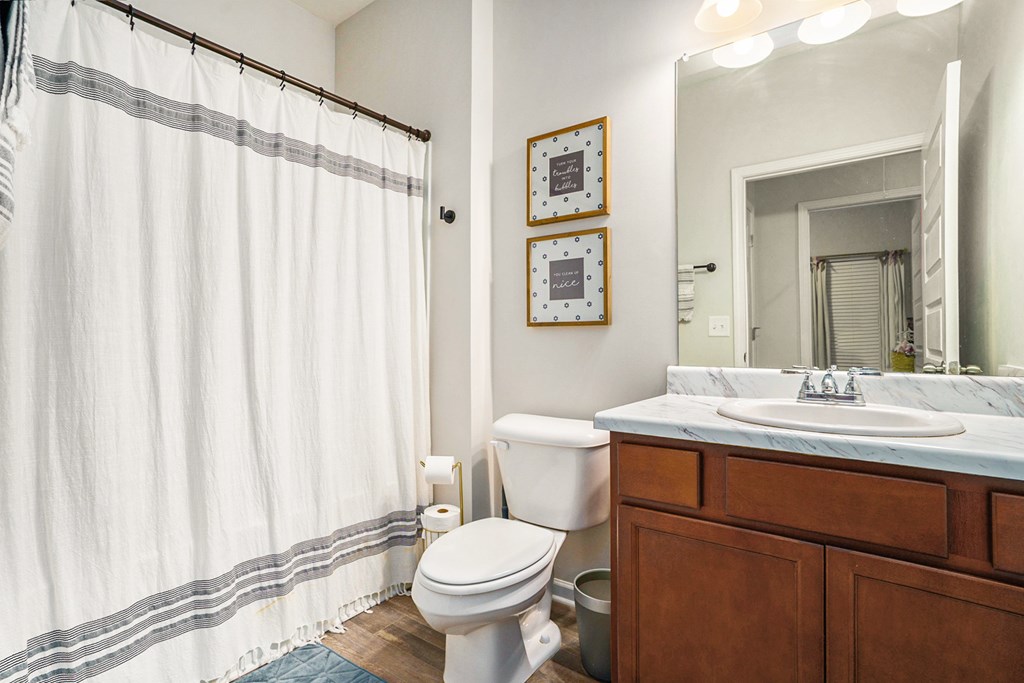206 Worley Drive Jasper, GA 30143 - Photo 16 of 17 a bathroom with a toilet sink and mirror