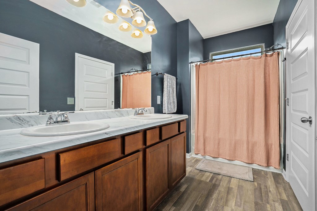 206 Worley Drive Jasper, GA 30143 - Photo 10 of 17 a bathroom with a double vanity sink and a mirror