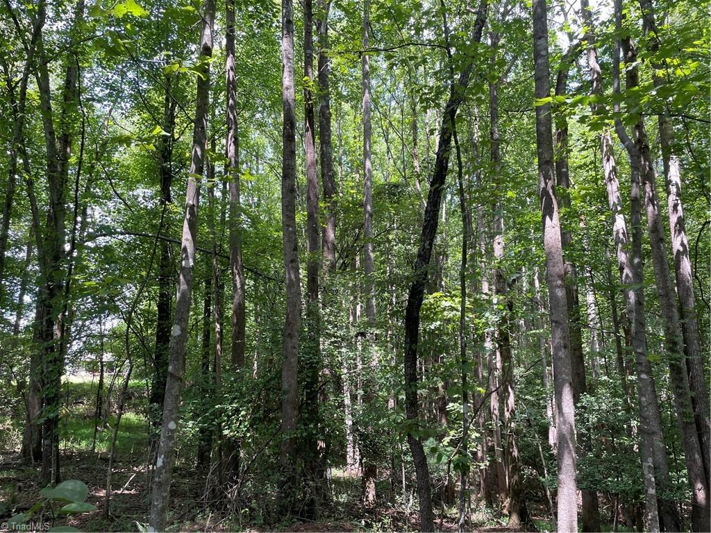 0 Sawyer Road Hays, NC 28635 - Photo 12 of 17 Gallery Image 12