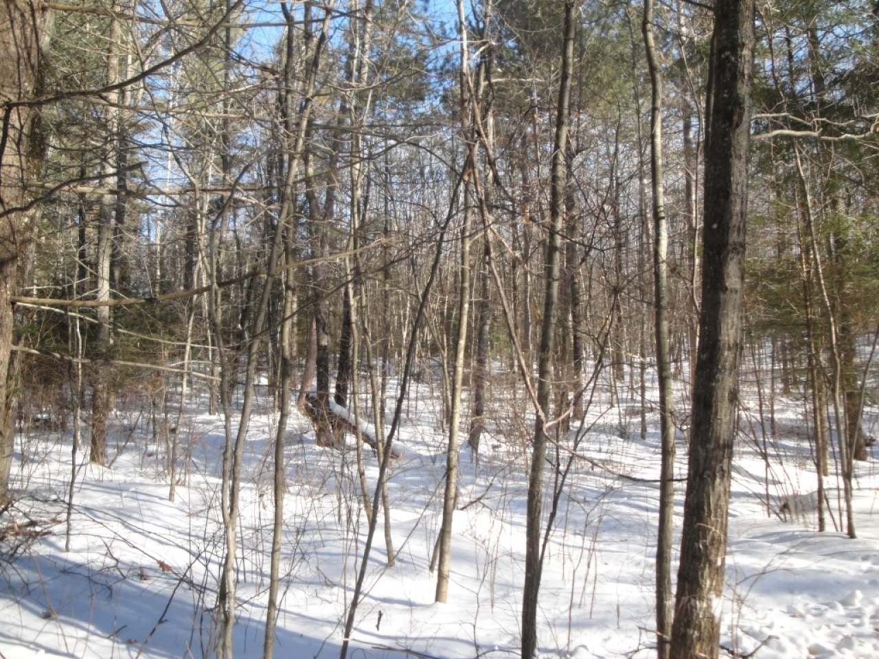 Lot 2 Cedar Lane Rhinelander, WI 54501 - Photo 16 of 19 Gallery Image 16