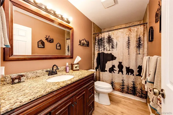 a bathroom with a granite countertop sink a toilet and a large mirror