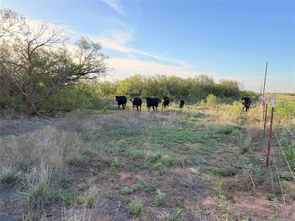 Tbd Nowell Road Quanah, TX 79252 - Photo 8 of 24