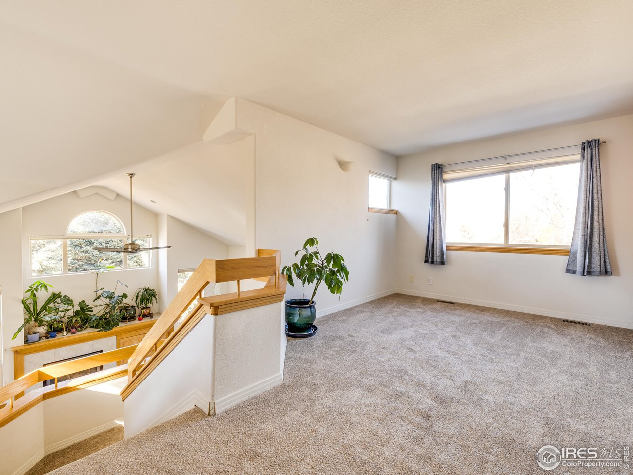 927 Hover Ridge Circle Longmont, CO 80501 - Photo 14 of 42