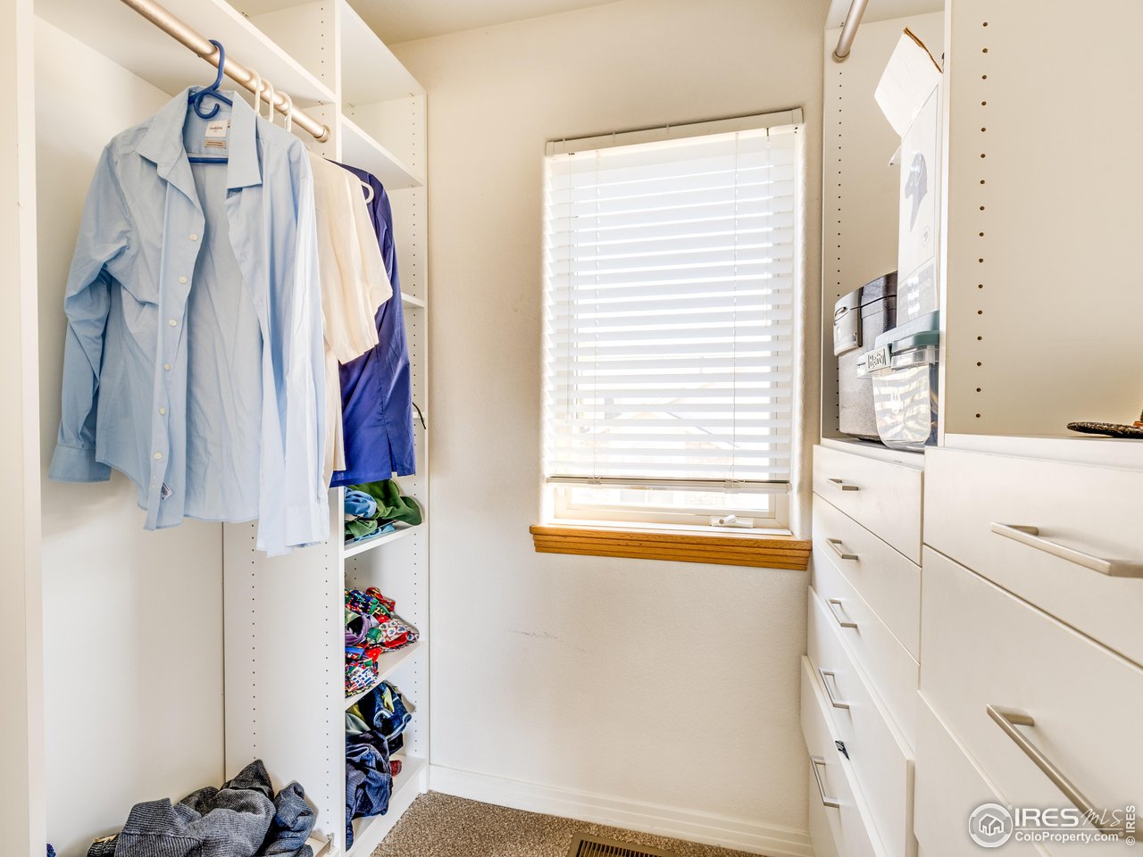 927 Hover Ridge Circle Longmont, CO 80501 - Photo 18 of 42