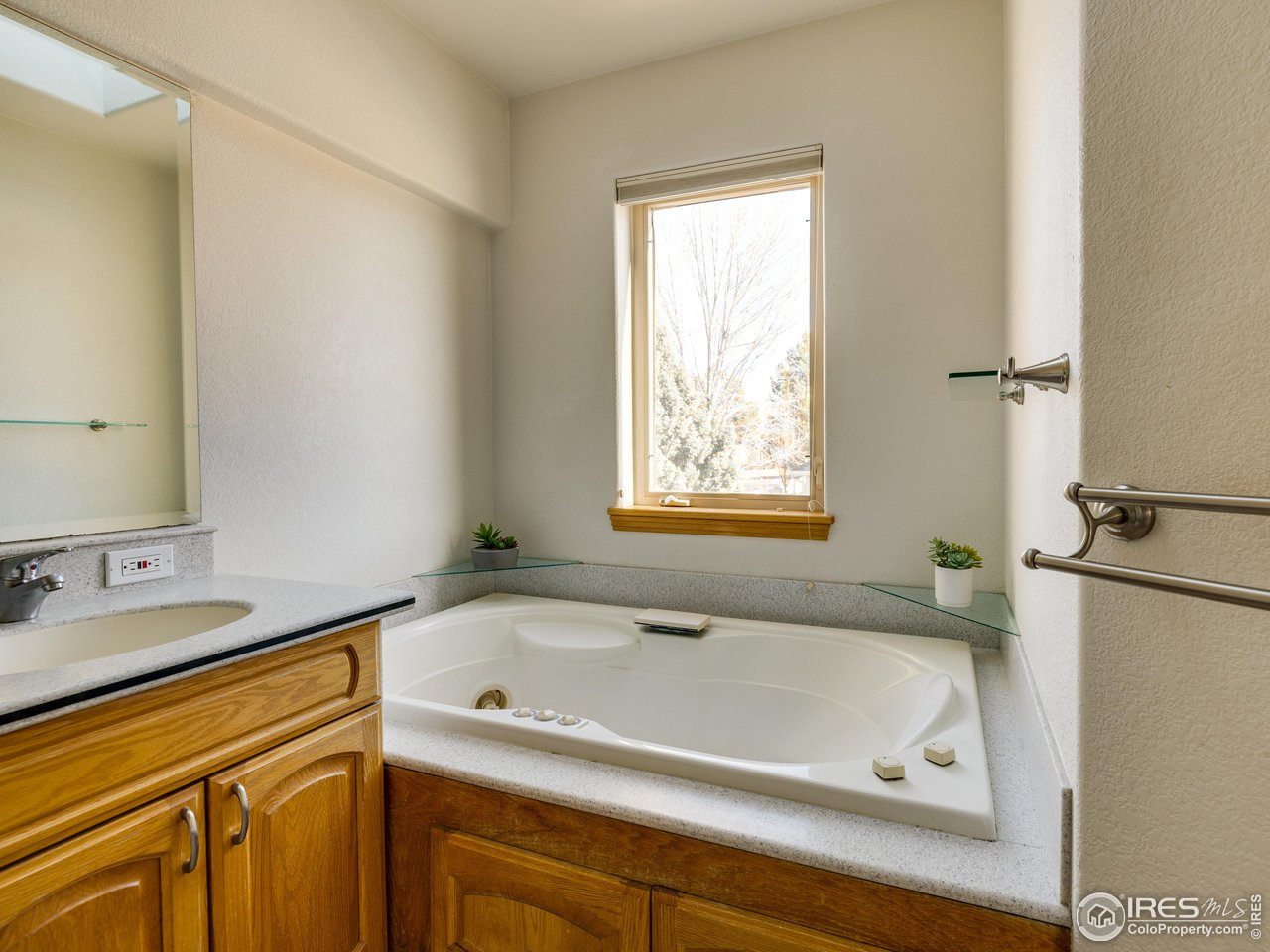 927 Hover Ridge Circle Longmont, CO 80501 - Photo 20 of 42