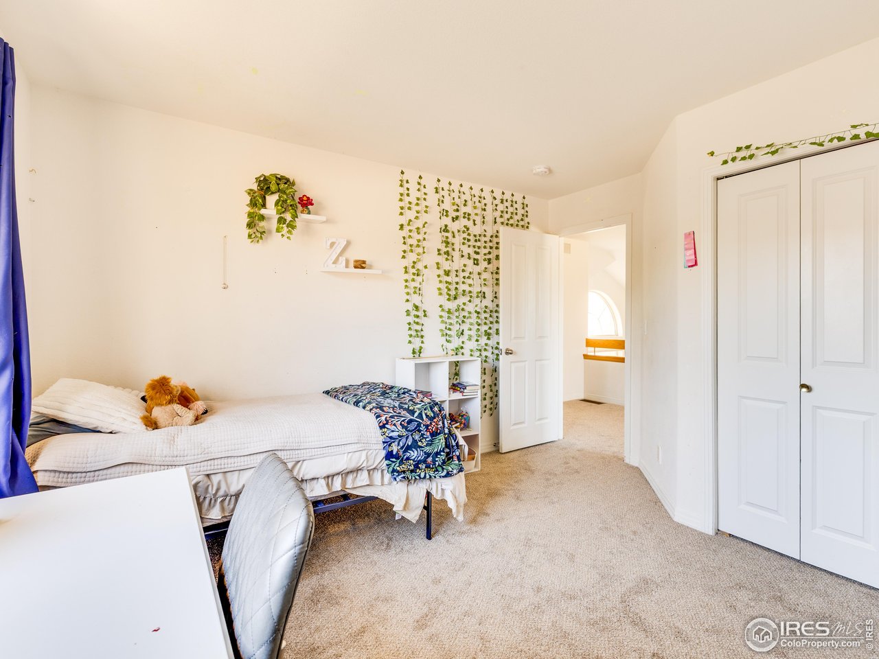 927 Hover Ridge Circle Longmont, CO 80501 - Photo 21 of 42