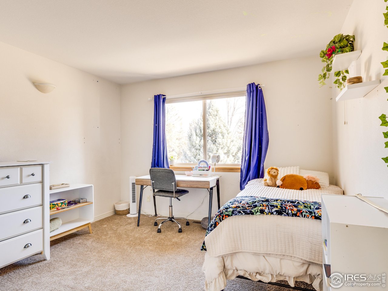 927 Hover Ridge Circle Longmont, CO 80501 - Photo 22 of 42