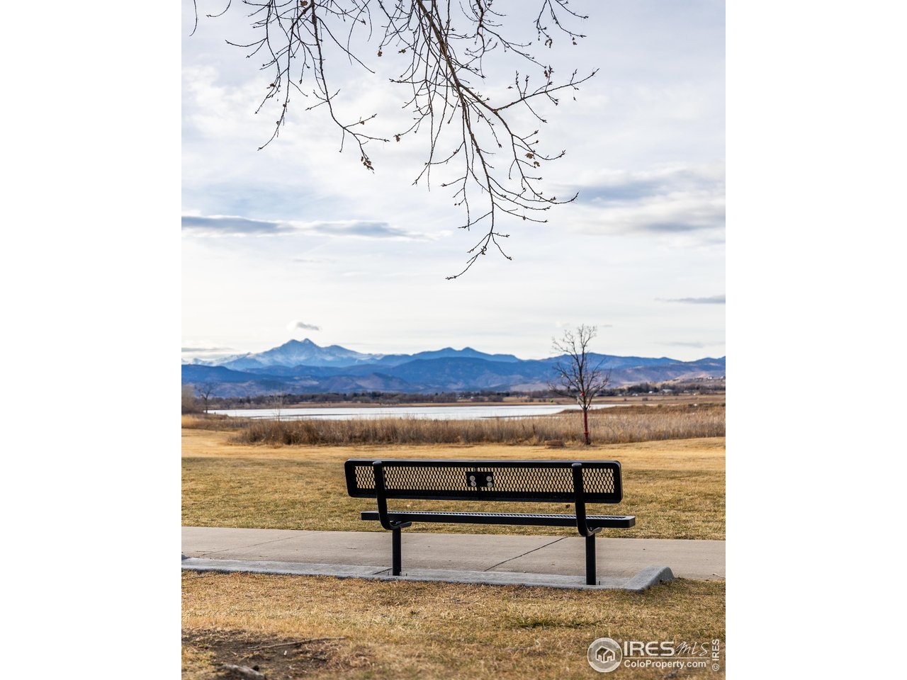 927 Hover Ridge Circle Longmont, CO 80501 - Photo 35 of 42