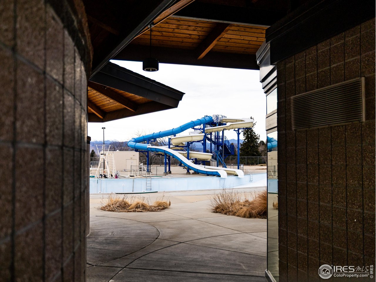 927 Hover Ridge Circle Longmont, CO 80501 - Photo 39 of 42