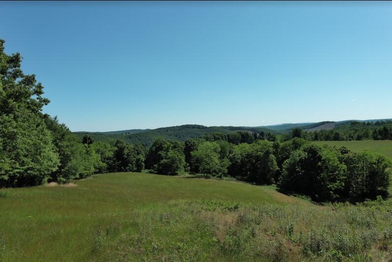 1024 River Road Rainelle, WV 25962 - Photo 10 of 31 Gallery Image 10