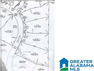 Autumn View Drive Sterrett, AL 35147 - Photo 1 of 5