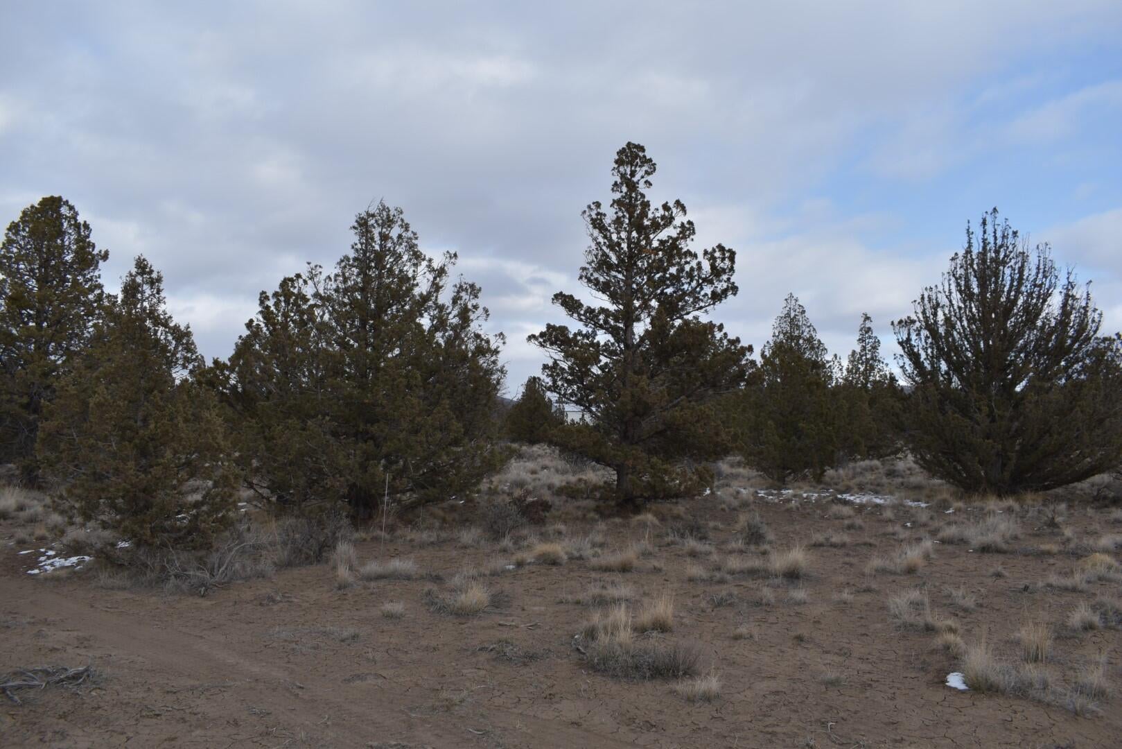 Southeast Navajo Road Prineville, OR 97754 - Photo 6 of 22 DSC_0214