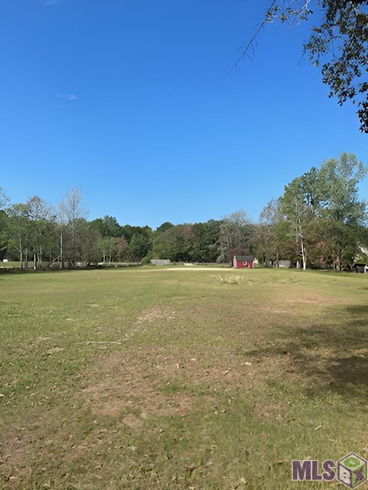 35726 Weiss Road Walker, LA 70785 - Photo 3 of 5