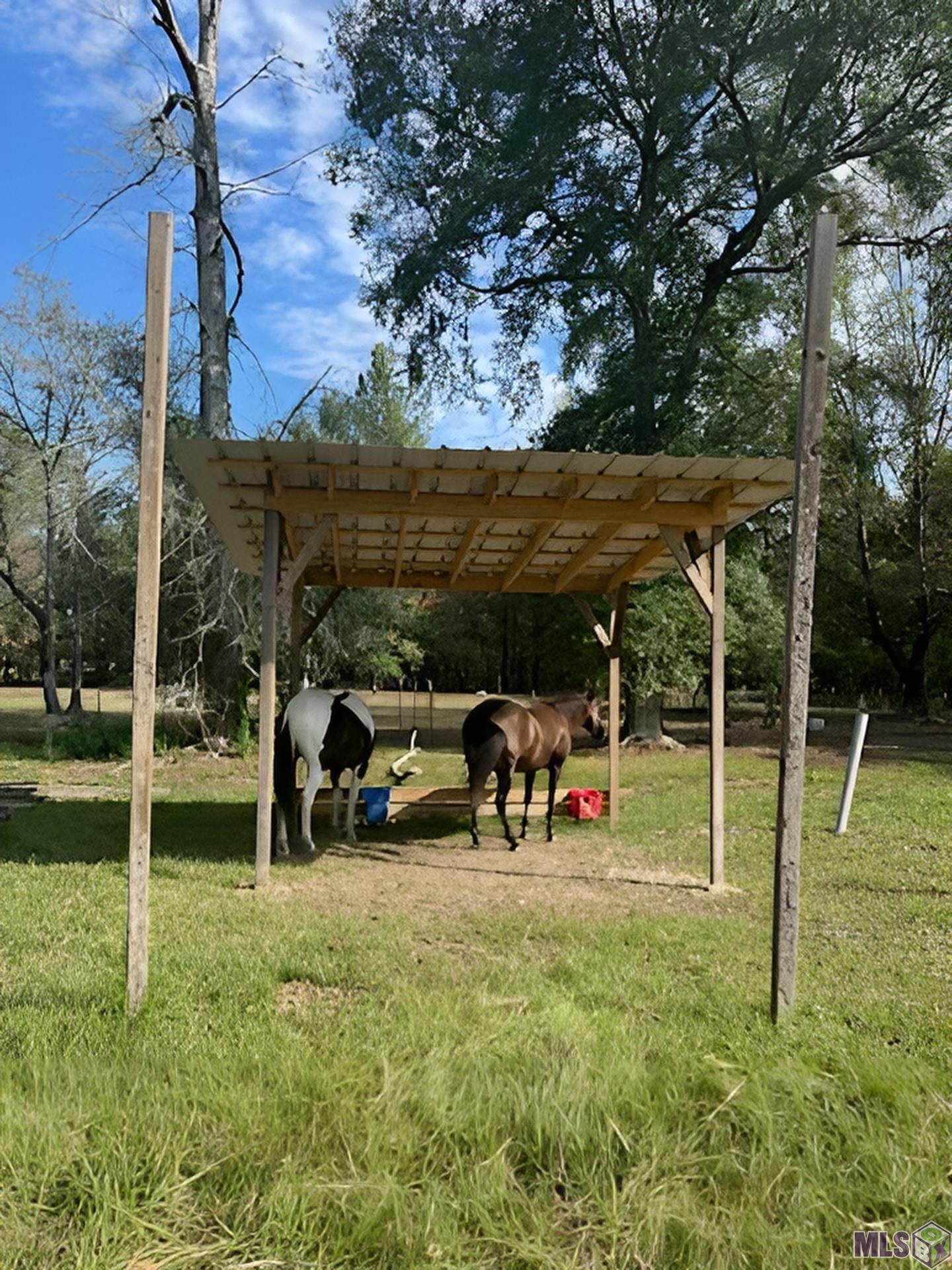 35726 Weiss Road Walker, LA 70785 - Photo 4 of 5
