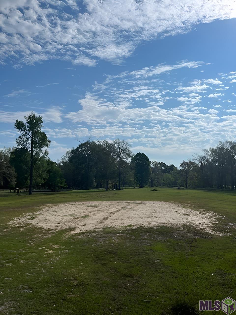 35726 Weiss Road Walker, LA 70785 - Photo 5 of 5