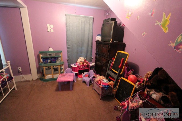 7538 Peach Bottom Road Independence, VA 24348 - Photo 20 of 20 Gallery Image 20