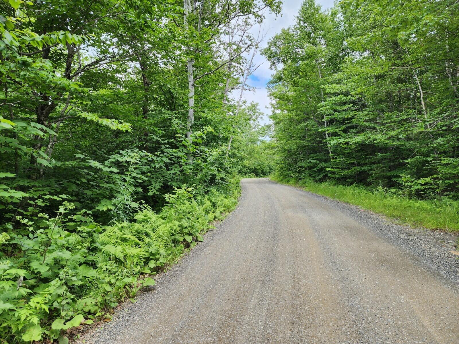 4 North S Shore Rd Island Falls Island Falls, ME 04747 - Photo 2 of 6 20230723_111001