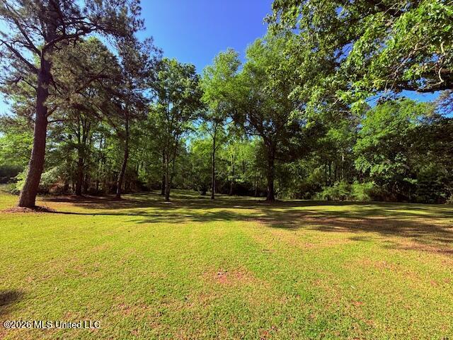 209 Oral Church Road Tylertown, MS 39667 - Photo 3 of 41 IMG_3544