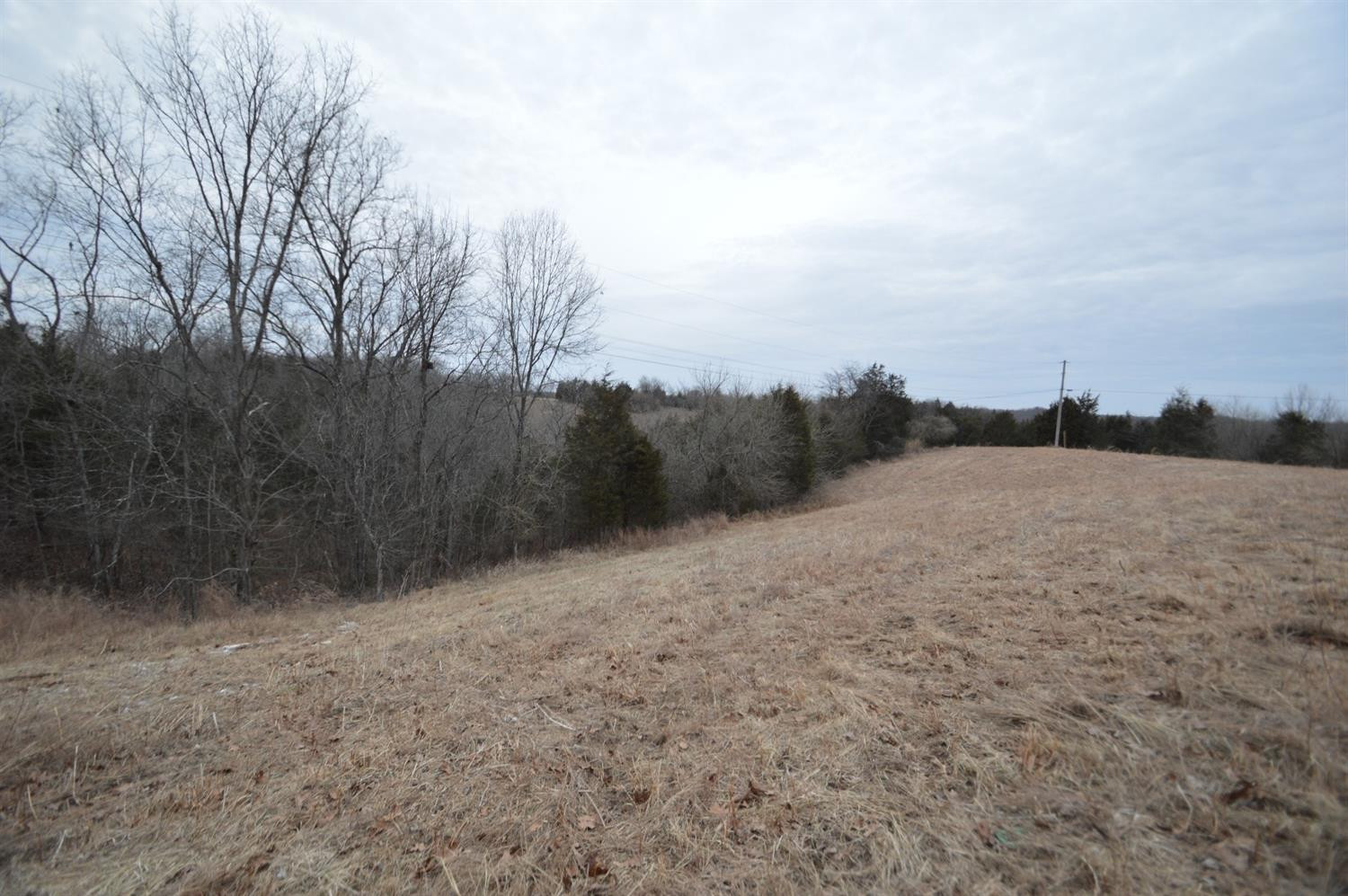 1170 Dennis Road, Unit 9 Lawrenceburg, KY 40342 - Photo 7 of 12 Photo 7