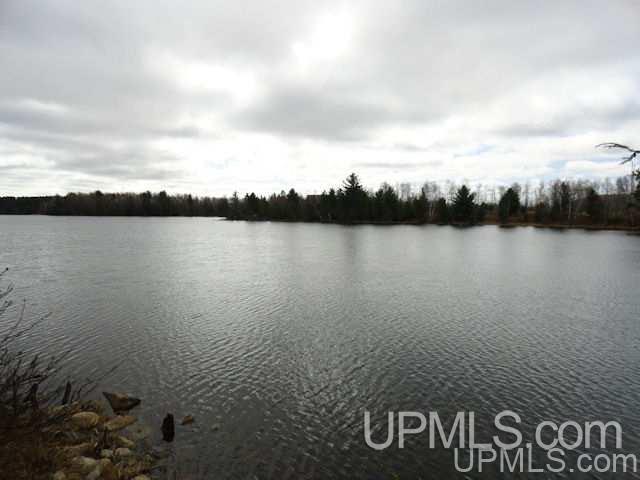 40-acres Perch Lake Road Champion, MI 49814 - Photo 3 of 11