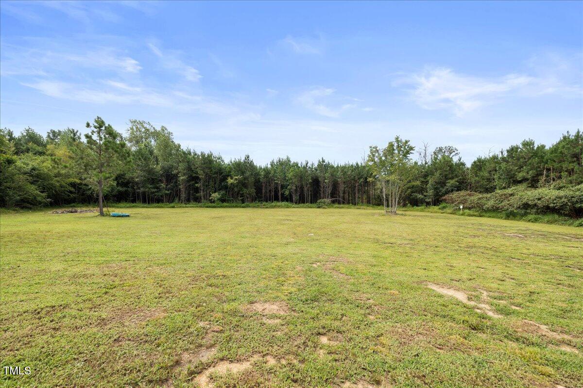 5421 West Old Spring Hope Road Spring Hope, NC 27882 - Photo 43 of 54 a view of outdoor space and yard