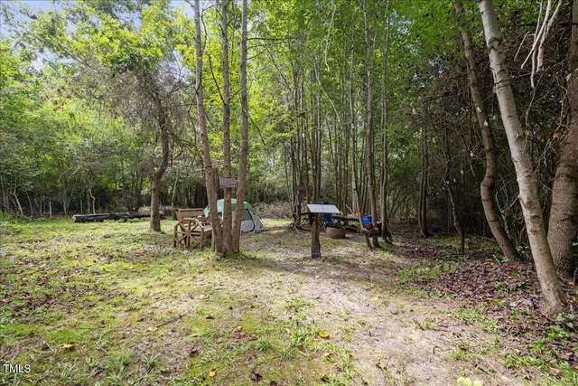 a view of backyard with a barn and large trees