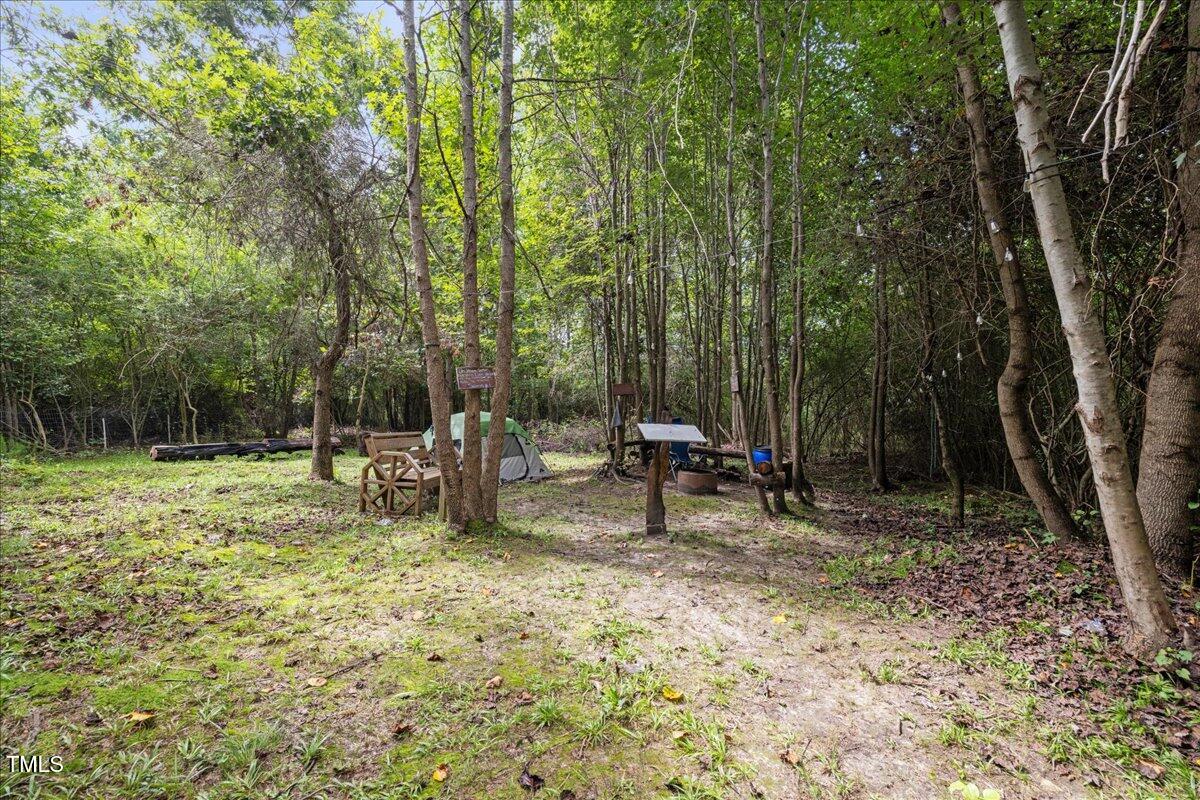 5421 West Old Spring Hope Road Spring Hope, NC 27882 - Photo 46 of 54 a view of a park with a bench and some trees